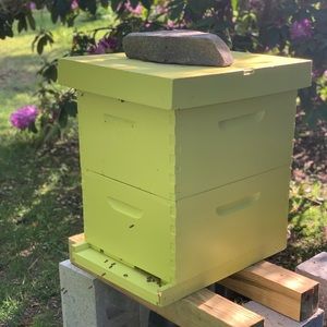 Meet your Posher, Robert